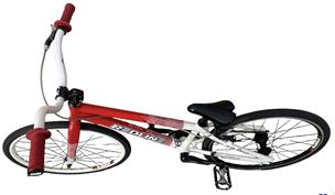 Redline flight mini online bmx